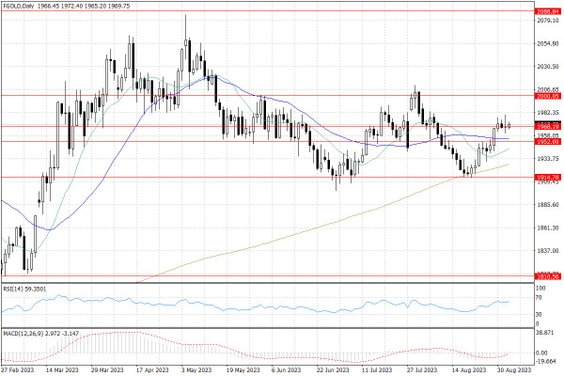 Notowania złota – dane dzienne
