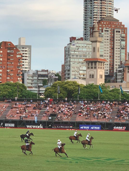 Zawodnicy z Argentyny grają właściwie przez cały rok. Sześć miesięcy spędzają w kraju, a kole