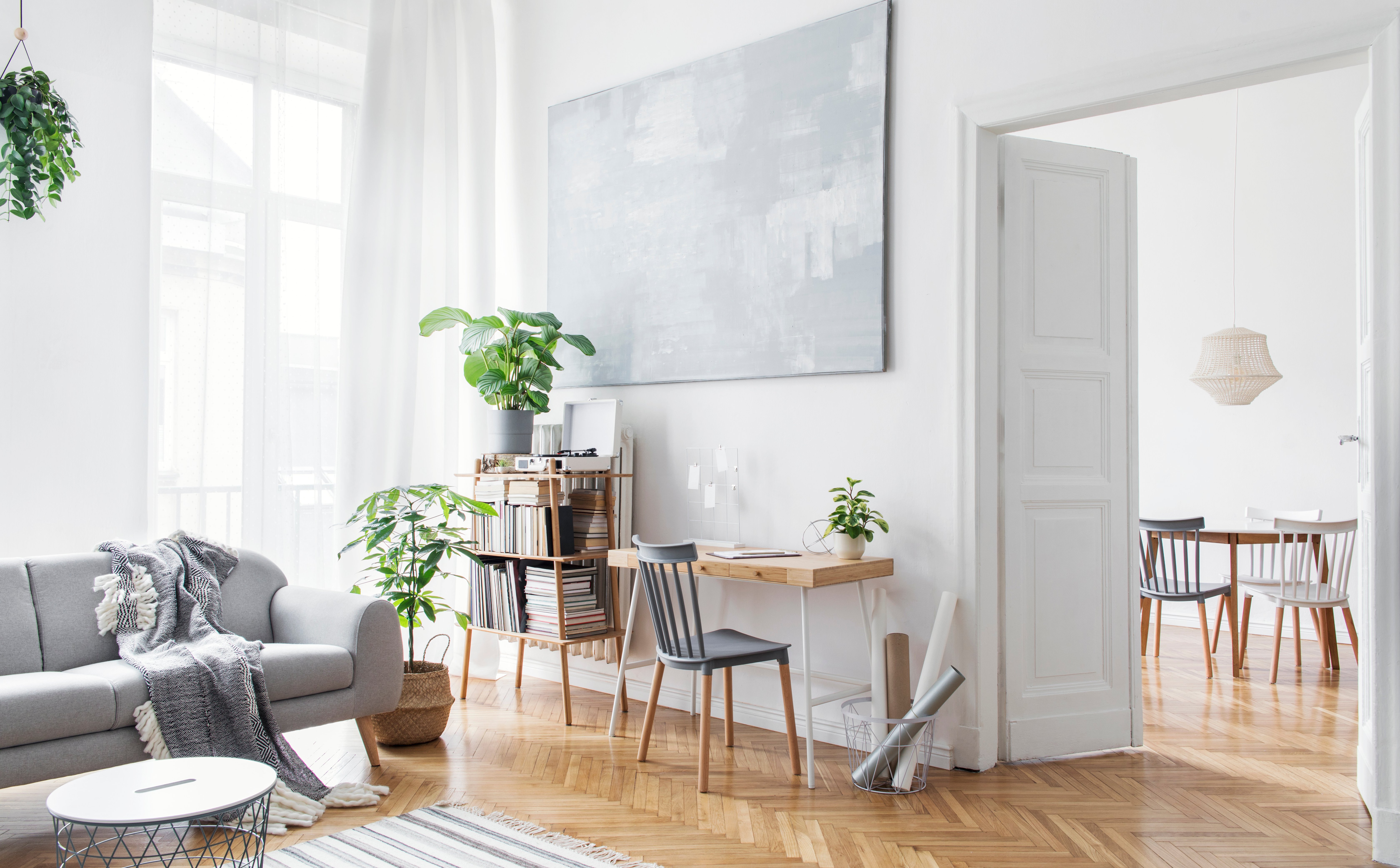 Najem mieszkań przed studencką falą. Czynsze mogą wzrosnąć