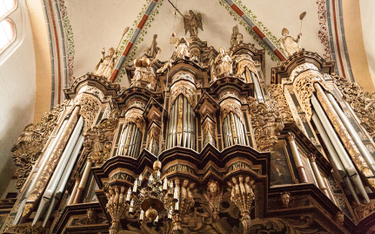 Organy w katedrze kamieńskiej pochodzą z 1672 roku, ale nie były pierwszym instrumentem w dziejach t