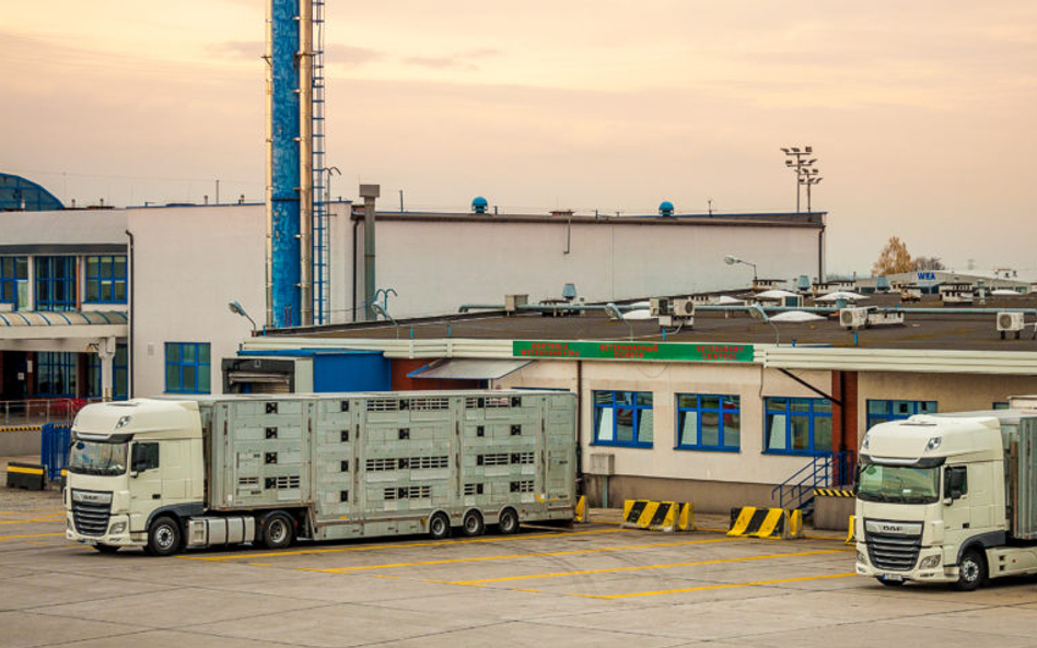 Białoruski transport rozjechał polskie firmy