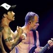 Pierwszy pełny koncert Klinghoffera z Red Hot Chilii Peppers