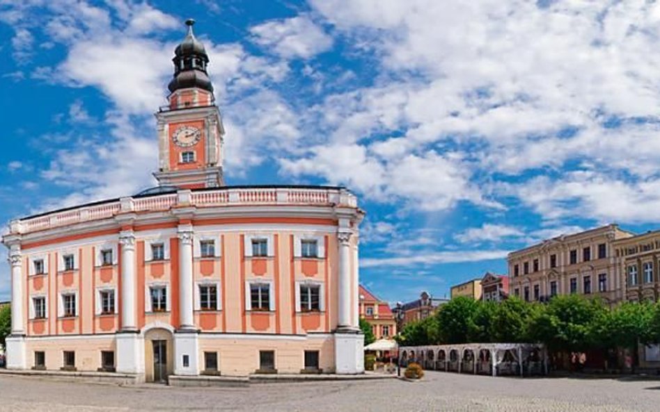 Z szacunków ratusza wynika, że w Lesznie działa prawie 270 organizacji pozarządowych.