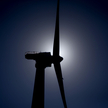 Osiem największych firm zajmujących się energią odnawialną odnotowało w pierwszej połowie roku łączn