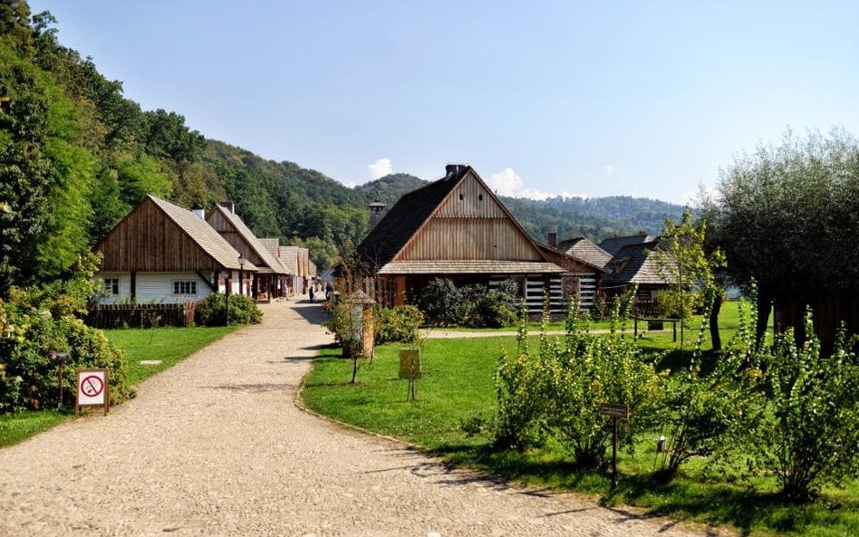 Bieszczady zamiast plaży na Korfu