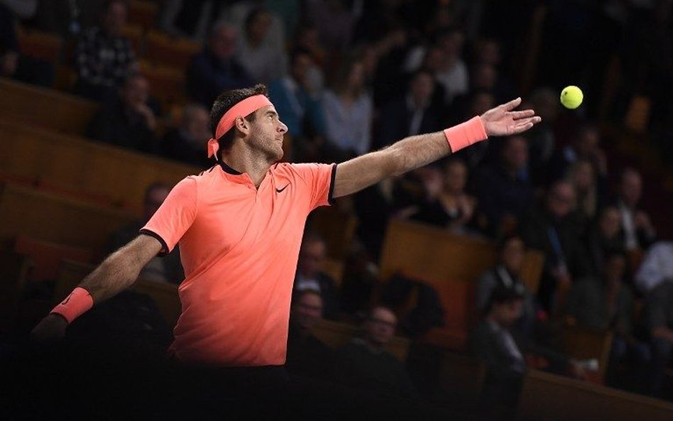 Turniej ATP w Sztokholmie; Zwycięstwo Juana Martina Del Potro