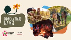 Agroturystyka i projekt „Odpoczywaj na wsi” – szansa na nową rolę polskiej wsi