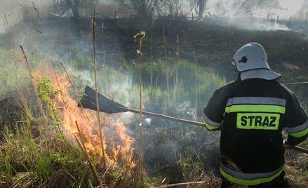 Strażacy ochotnicy odzyskali staż emerytalny w KRUS. Jest też gotowa nowelizacja przepisów, która po