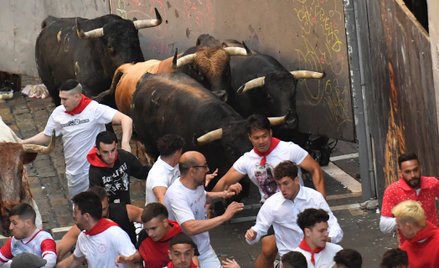 Jedną z atrakcji turystycznych są coroczne gonitwy z bykami ulicami Pampeluny
