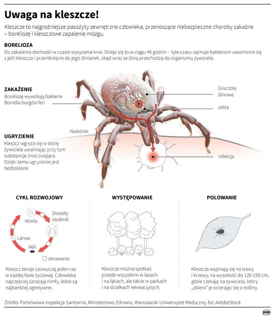 Ostrzeżenie przed kleszczami