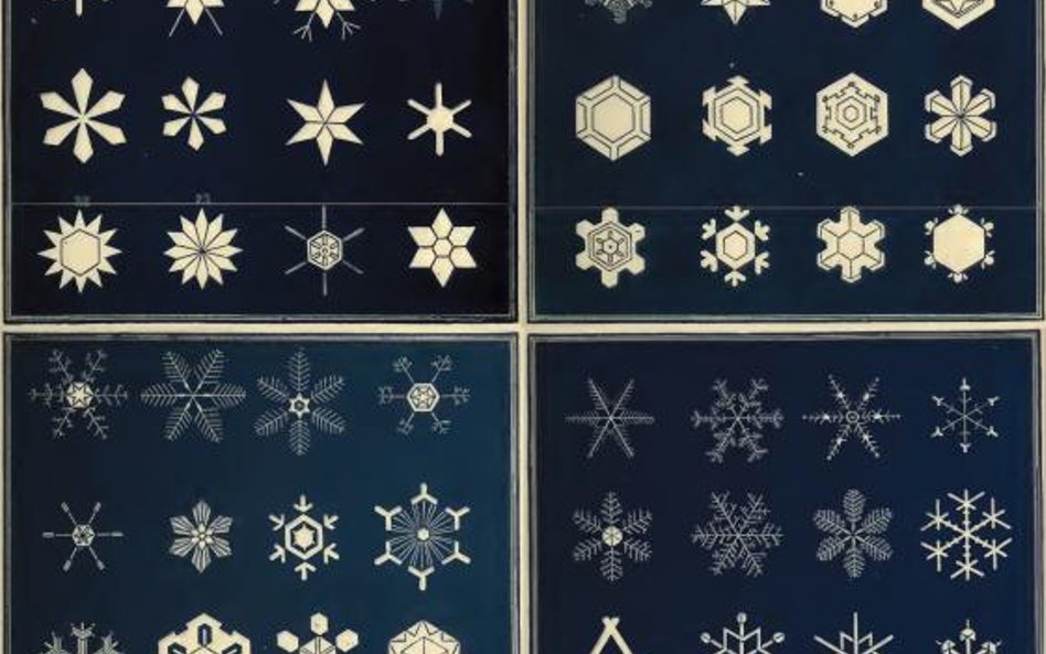 Klasyfikacja płatków śniegu stworzona w XIX wieku