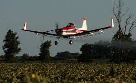 Niemcy zakażą glifozatu z końcem 2023 r.