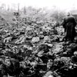 Doły z zamordowanymi w Katyniu koło Smoleńska polskimi żołnierzami