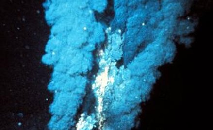 Przy źródłach hydrotermal-nych skupiają się skrajne formy życia