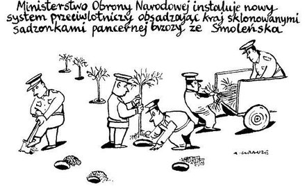 Komentarz rysunkowy. Brzoza ze Smoleńska