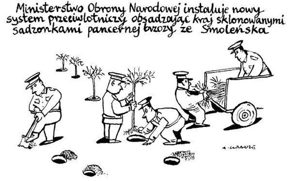 Komentarz rysunkowy. Brzoza ze Smoleńska