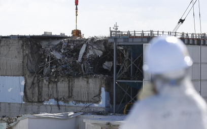 Katastrofa w Fukushimie była bardzo kosztowna dla Japonii