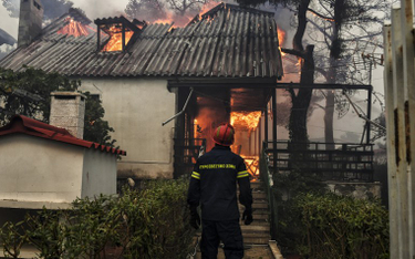 Grecja w ogniu. W pożarach zginęło ponad 70 osób