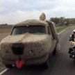 Wardęga chce pomagać bezdomnym psom