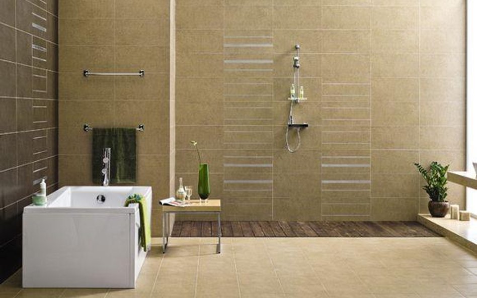 Kredyt z EBOiR-u pomógł kursowi Cersanitu