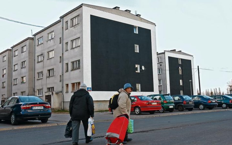 Mieszkańcy osiedla przy Dudziarskiej odbierają stworzone przez grupę artystyczną Zmiana Organizacji 