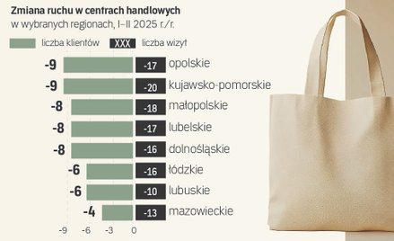 Centra handlowe mają problem. Z internetem i odpływem Ukraińców