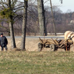 Nie ma wykroczeń drogowych na łące