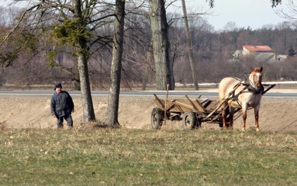 Nie ma wykroczeń drogowych na łące