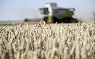 Zboże pod ostrzałem. Ukraina wysłała w kwietniu milion ton zbóż