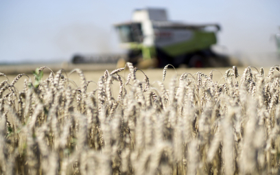 Zboże pod ostrzałem. Ukraina wysłała w kwietniu milion ton zbóż