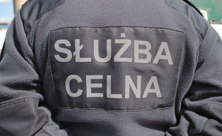 Dyscyplinarka celnika a termin na naganę