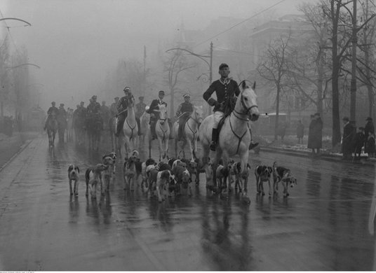 podpis podpis podpis