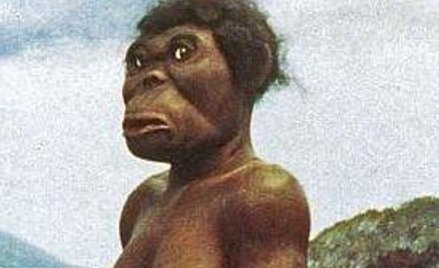 Kiedy człowiek polubił befsztyki