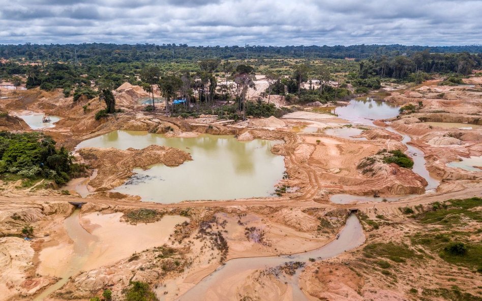 Maj 2021: Rekord wylesiania brazylijskiej Amazonii