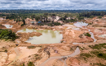 Maj 2021: Rekord wylesiania brazylijskiej Amazonii