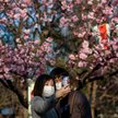 Koronawirus: Japonia rozdaje pieniądze rodzinom