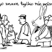 Komentarz rysunkowy