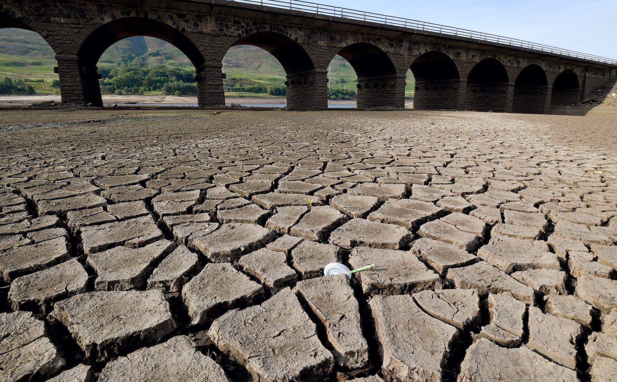 Wielka Brytania zagrożona suszą. Sytuacja najgorsza od dziesięcioleci