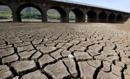 Wyschnięte dno zbiornika w Wielkiej Brytanii.