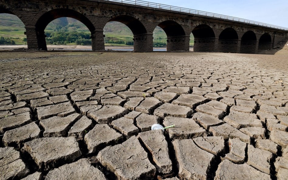 Wyschnięte dno zbiornika w Wielkiej Brytanii.