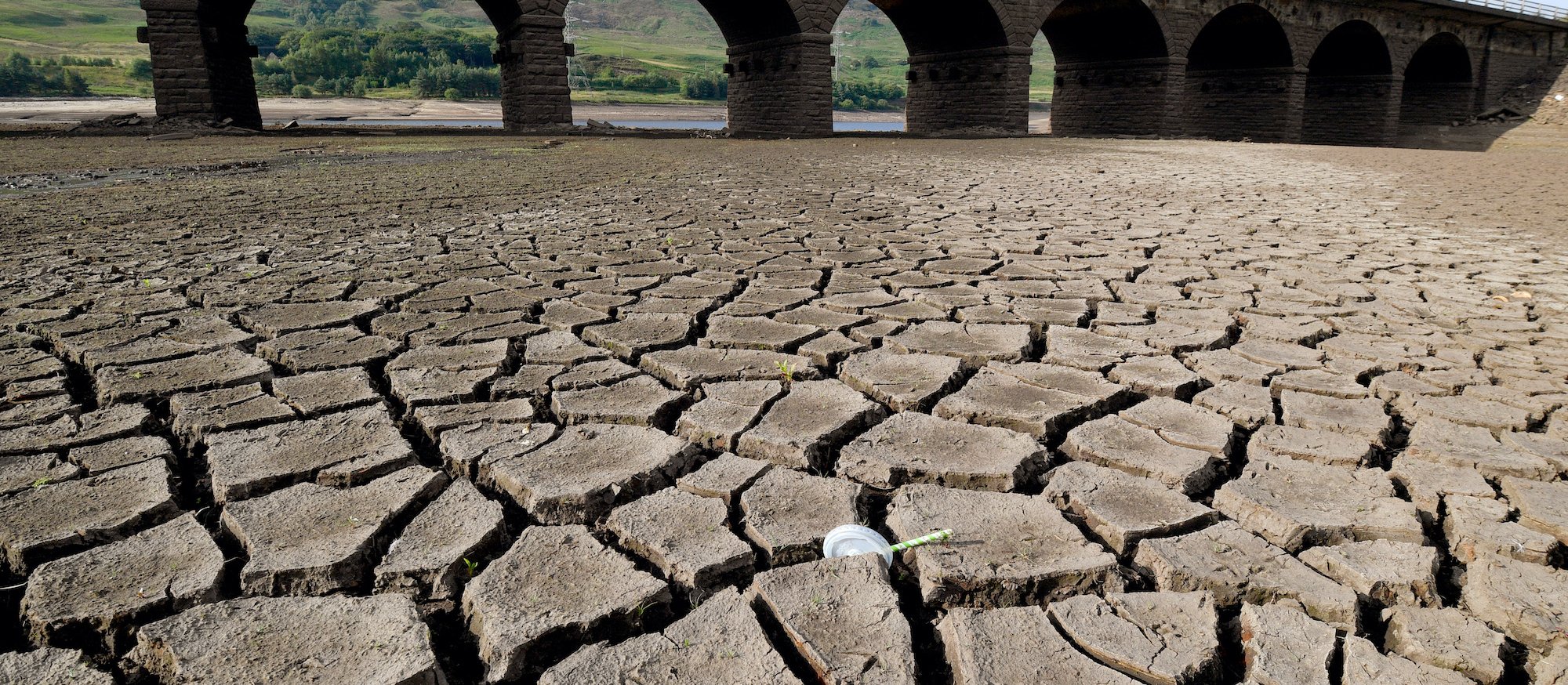 Wielka Brytania zagrożona suszą. Sytuacja najgorsza od dziesięcioleci