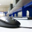 E-mail o gotowości do zadań nie wyklucza zwolnienia dyscyplinarnego z pracy