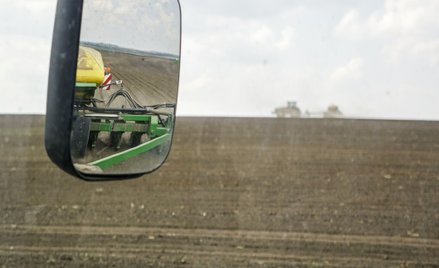 Jakie zasiewy na Ukrainie?