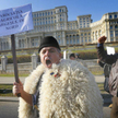 Rumunia: Protest w sprawie psów pasterskich