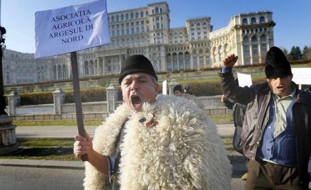 Rumunia: Protest w sprawie psów pasterskich