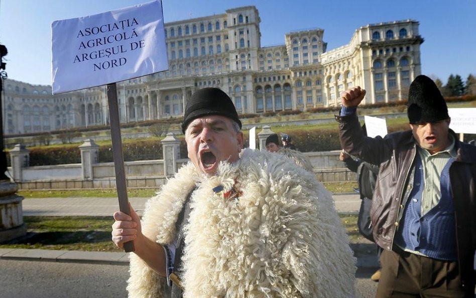 Rumunia: Protest w sprawie psów pasterskich