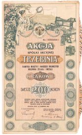 Na 150 zł wyceniono akcję Fabryki Maszyn Trzebinia z 1919 roku.