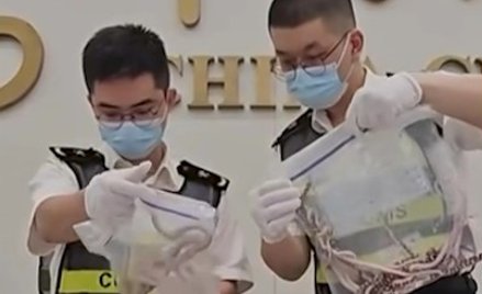 Miał ponad sto węży w kieszeniach. Zatrzymali go celnicy