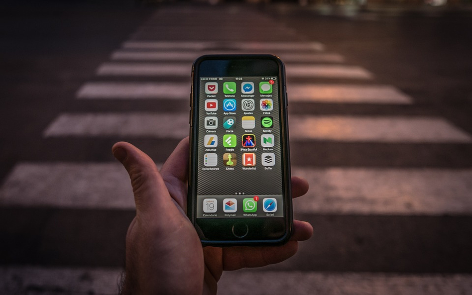 Litwini zapłacą za używanie telefonu na przejściu