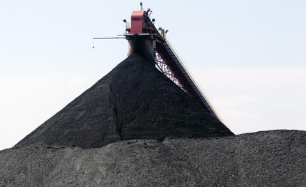 33,1 proc. akcji JSW w ofercie publicznej